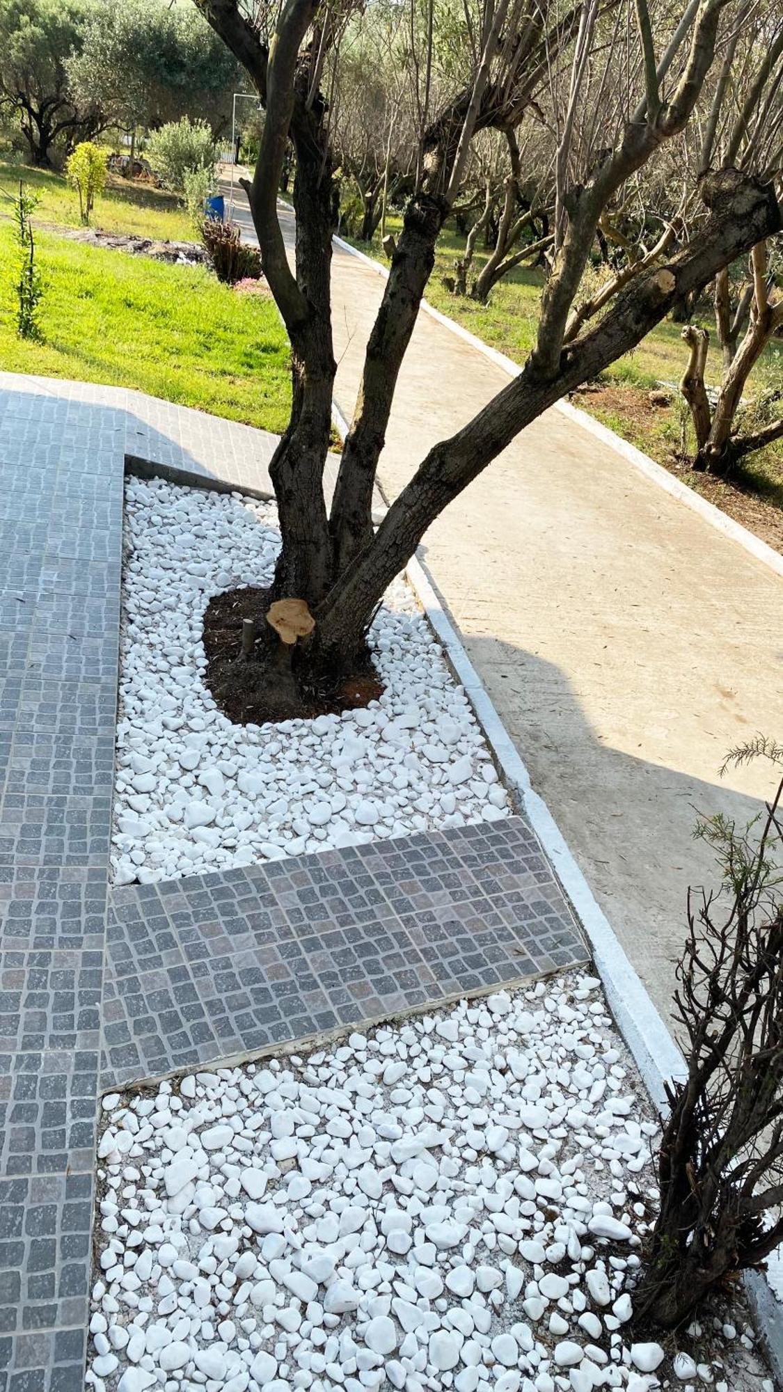 פלוגיטה Mediterranean Escape מראה חיצוני תמונה