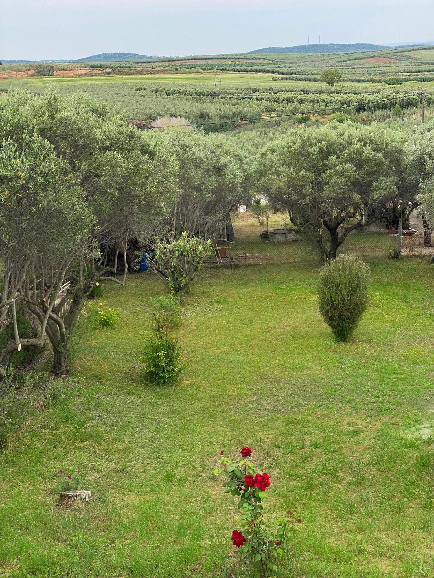 פלוגיטה Mediterranean Escape מראה חיצוני תמונה